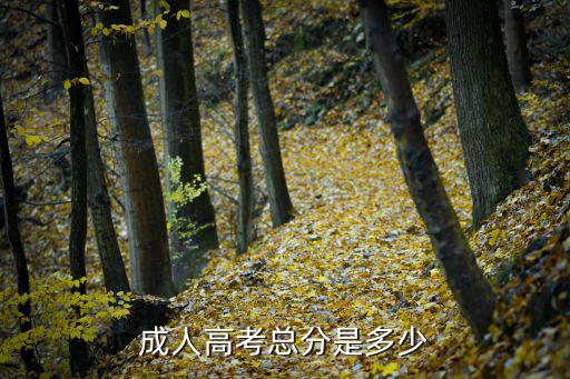 成人高考总分是多少