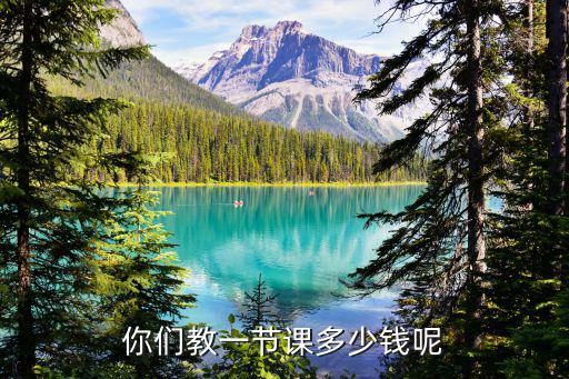 你们教一节课多少钱呢