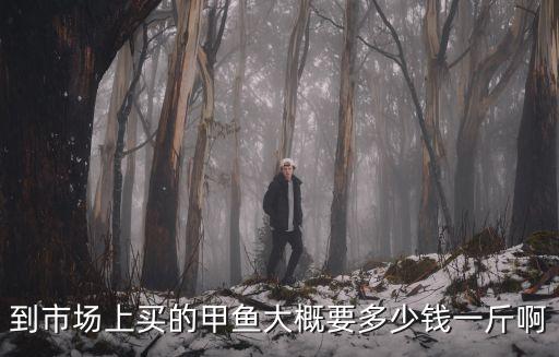 花甲一般多少钱，到市场上买的甲鱼大概要多少钱一斤啊