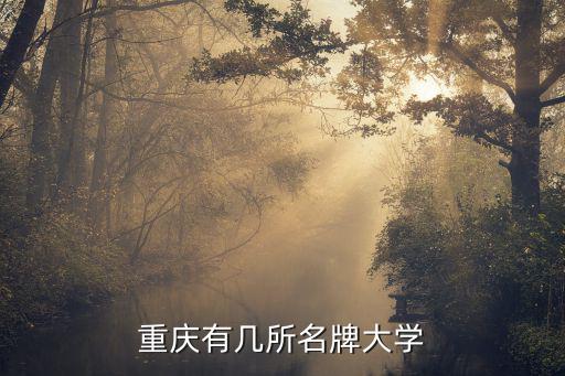 重庆有多少冠名四川的大学，重庆有几所名牌大学
