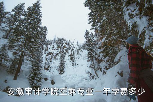 安徽高铁航空学校的学费是多少钱一个月，安徽师范大学空乘系年学费是多少