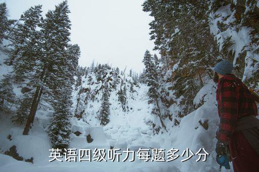 英语四级听力每题多少分