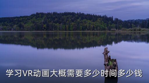 学习VR动画大概需要多少时间多少钱