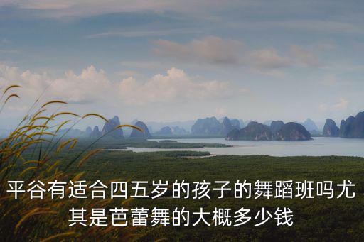 平谷有适合四五岁的孩子的舞蹈班吗尤其是芭蕾舞的大概多少钱