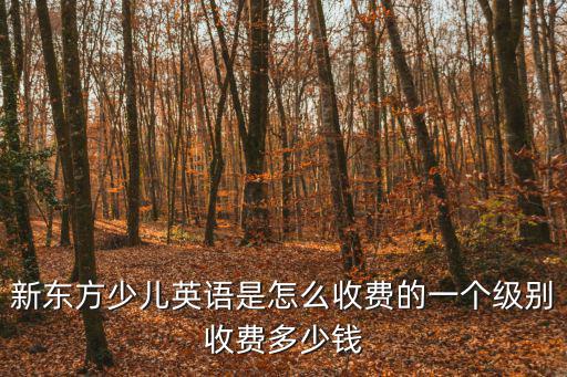 新东方少儿英语是怎么收费的一个级别收费多少钱