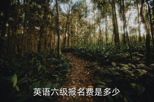 英语六级报名费是多少