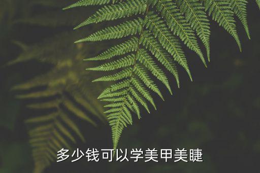 多少钱可以学美甲美睫