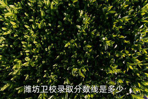 潍坊卫校3 2需要多少分，32是多少