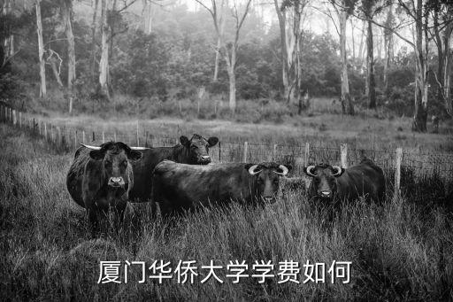 厦门华侨大学学费如何