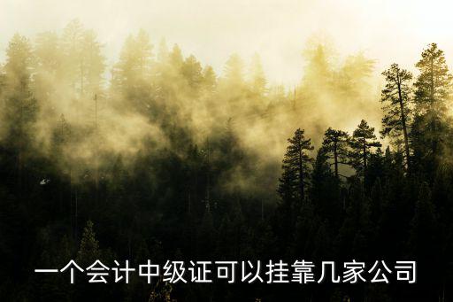 一个会计中级证可以挂靠几家公司