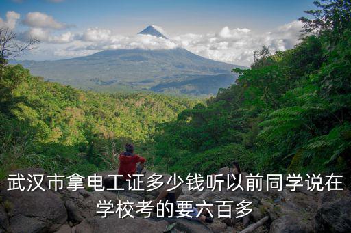 武汉市拿电工证多少钱听以前同学说在学校考的要六百多