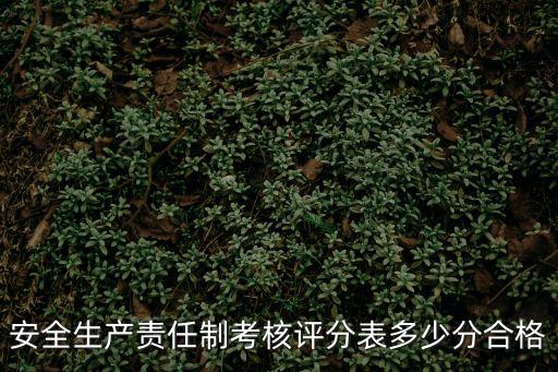 安徽安全员考试多少分合格，安全员A类证多少分及格