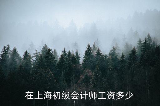 在上海初级会计师工资多少