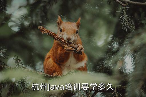杭州Java培训要学多久
