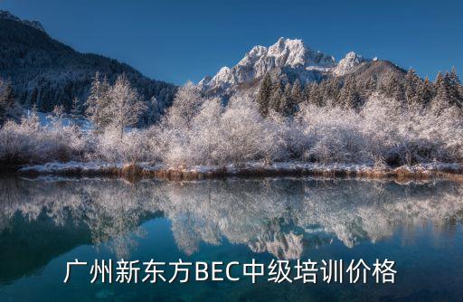 广州新东方BEC中级培训价格