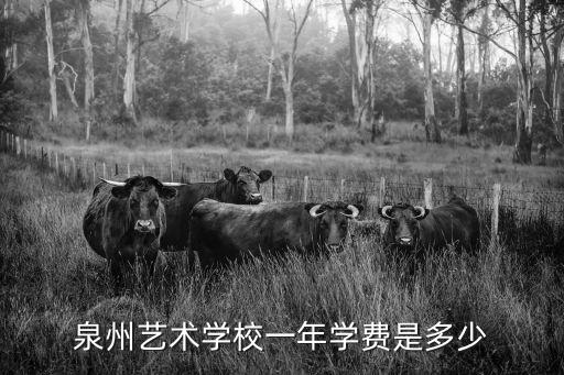 泉州艺术学校一年学费是多少