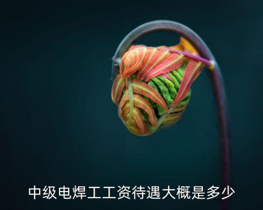 中级电焊工工资待遇大概是多少