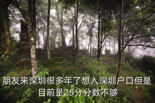 深圳建造师证加多少分，朋友来深圳很多年了想入深圳户口但是目前是25分分数不够