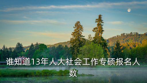 谁知道13年人大社会工作专硕报名人数