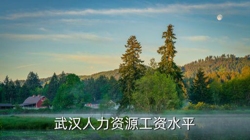 武汉人力资源工资水平