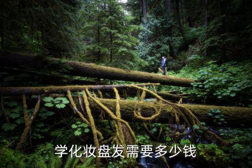 学化妆盘发需要多少钱