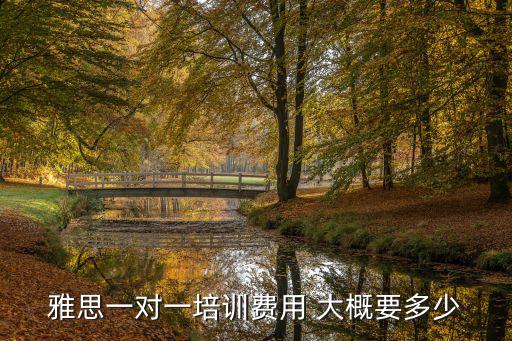 雅思一对一培训费用 大概要多少