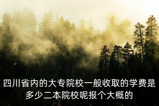 四川省内的大专院校一般收取的学费是多少二本院校呢报个大概的
