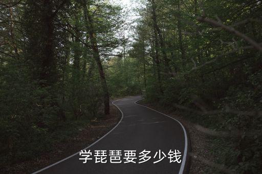 学琵琶要多少钱