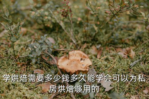 学烘焙需要多少钱多久能学会可以为私房烘焙够用的