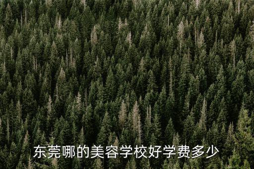 东莞哪的美容学校好学费多少