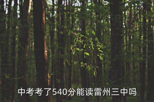 雷州有多少间中专，中考考了540分能读雷州三中吗