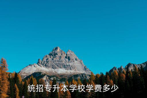 统招专升本学校学费多少