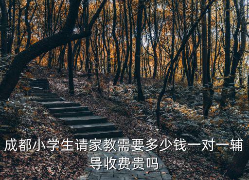 成都1对1辅导要多少钱，成都小学生请家教需要多少钱一对一辅导收费贵吗