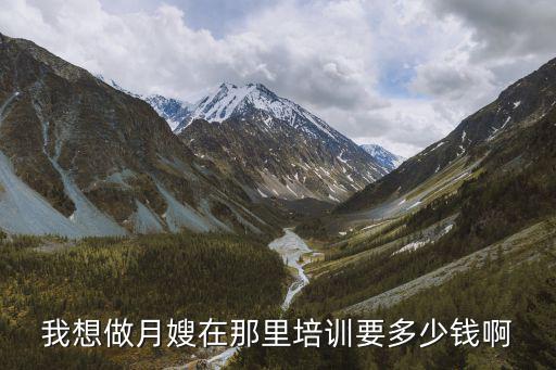 我想做月嫂在那里培训要多少钱啊