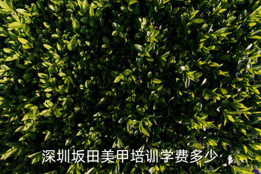 深圳坂田美甲培训学费多少
