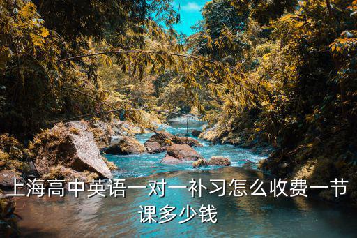 上海高中英语一对一补习怎么收费一节课多少钱
