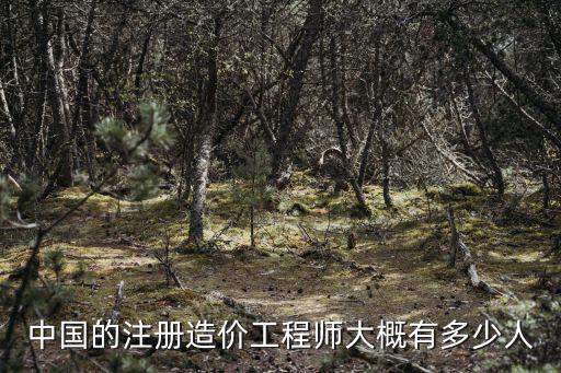 南京目前造价工程师有多少，中国的注册造价工程师大概有多少人