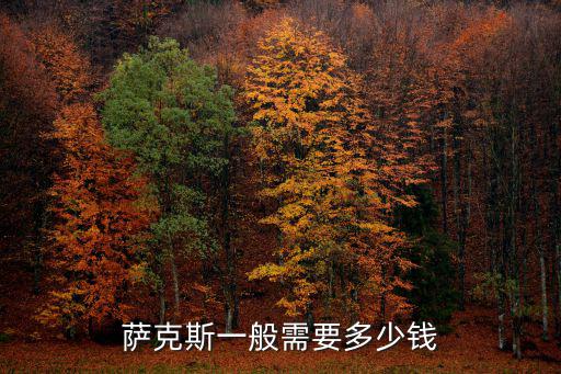 萨克斯一般需要多少钱