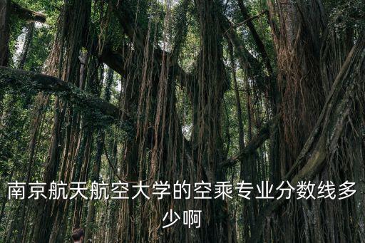 南京航天航空大学的空乘专业分数线多少啊