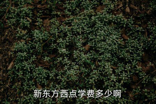 新东方甜点培训学校学费多少，新东方西点学费多少啊