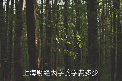 上海财经大学专升本学费多少，上海财经大学的学费多少
