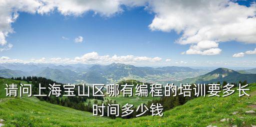 请问上海宝山区哪有编程的培训要多长时间多少钱