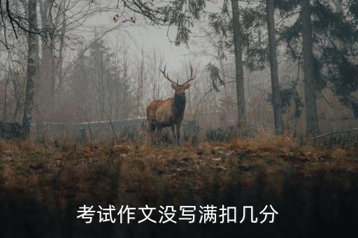 考试作文没写满扣几分