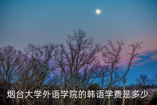 烟台大学外语学院的韩语学费是多少