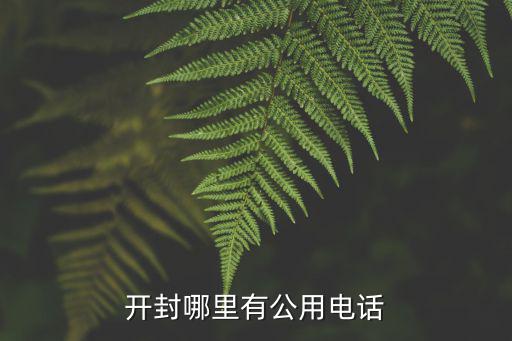开封哪里有公用电话