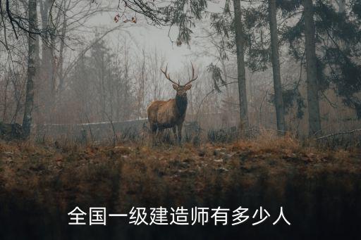 全国一级建造师有多少人