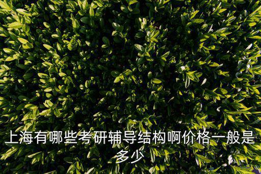 上海考研英语培训多少钱，上海有哪些考研辅导结构啊价格一般是多少