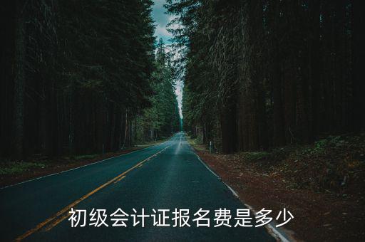 初级会计证报名费是多少