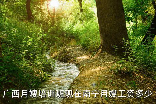 广西月嫂培训班现在南宁月嫂工资多少