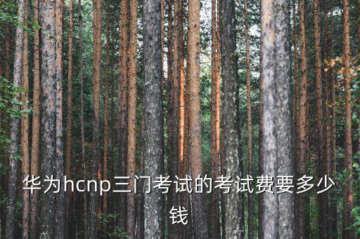 华为hcnp三门考试的考试费要多少钱